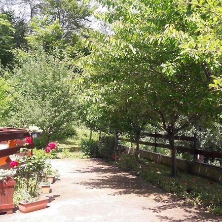 Crkvine Chalet Kolasin Luaran gambar